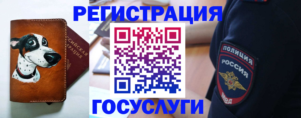 временная регистрация в квартире в Алексеевке