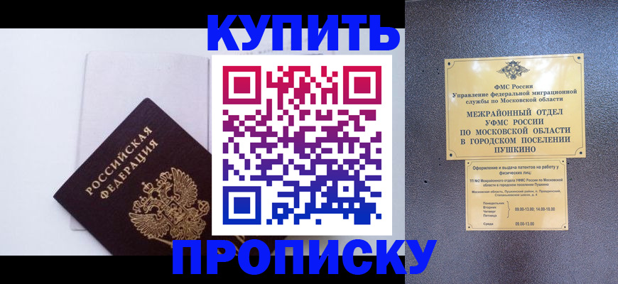 найти адрес прописки в Алексеевке